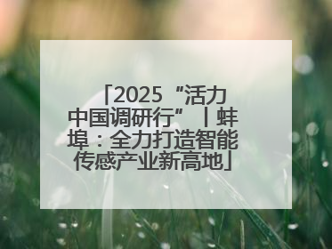 2025“活力中国调研行”丨蚌埠：全力打造智能传感产业新高地