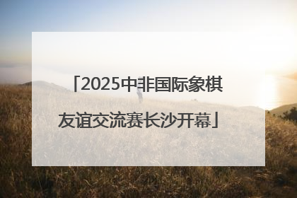 2025中非国际象棋友谊交流赛长沙开幕