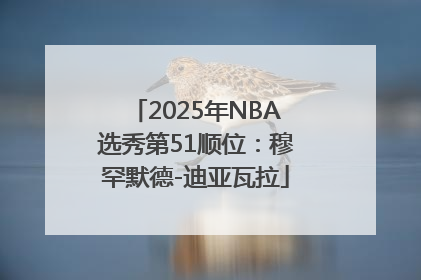 2025年NBA选秀第51顺位：穆罕默德-迪亚瓦拉