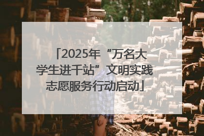 2025年“万名大学生进千站”文明实践志愿服务行动启动
