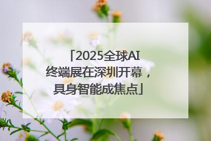 2025全球AI终端展在深圳开幕，具身智能成焦点