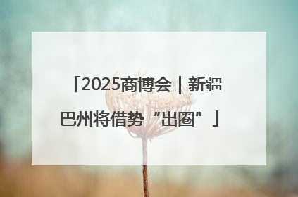 2025商博会｜新疆巴州将借势“出圈”