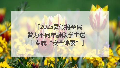 2025暑假将至民警为不同年龄段学生送上专属“安全锦囊”