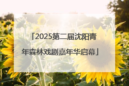 2025第二届沈阳青年森林戏剧嘉年华启幕