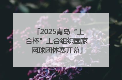 2025青岛“上合杯”上合组织国家网球团体赛开幕