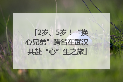 2岁、5岁！“换心兄弟”跨省在武汉共赴“心”生之旅