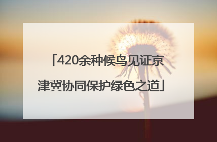420余种候鸟见证京津冀协同保护绿色之道