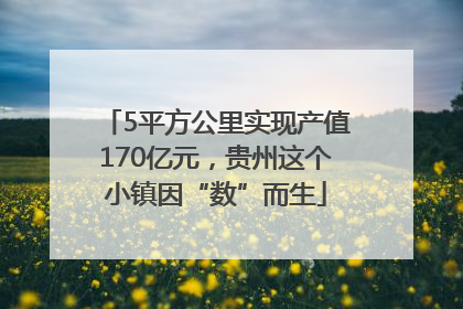 5平方公里实现产值170亿元，贵州这个小镇因“数”而生