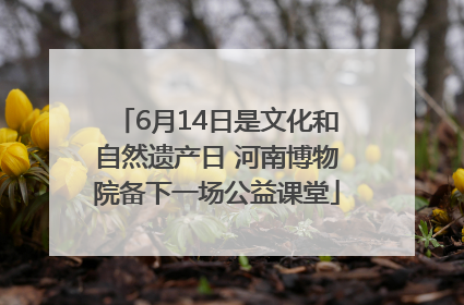 6月14日是文化和自然遗产日 河南博物院备下一场公益课堂