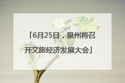 6月25日，泉州将召开文旅经济发展大会