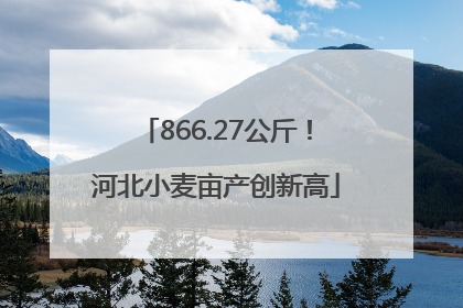866.27公斤！河北小麦亩产创新高
