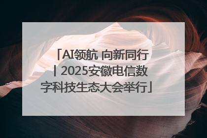 AI领航 向新同行丨2025安徽电信数字科技生态大会举行