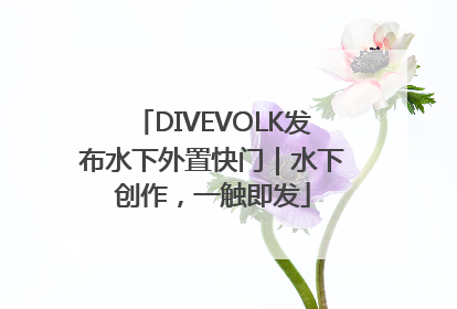 DIVEVOLK发布水下外置快门｜水下创作，一触即发