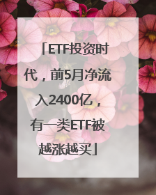 ETF投资时代，前5月净流入2400亿，有一类ETF被越涨越买