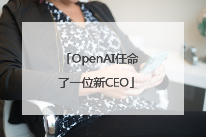 OpenAI任命了一位新CEO