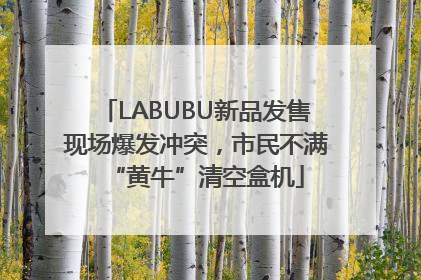 LABUBU新品发售现场爆发冲突，市民不满“黄牛”清空盒机
