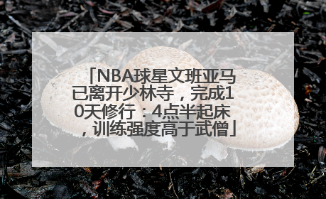 NBA球星文班亚马已离开少林寺，完成10天修行：4点半起床，训练强度高于武僧
