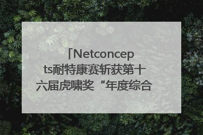 Netconcepts耐特康赛斩获第十六届虎啸奖“年度综合服务商”大奖