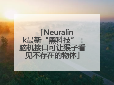 Neuralink最新“黑科技”：脑机接口可让猴子看见不存在的物体